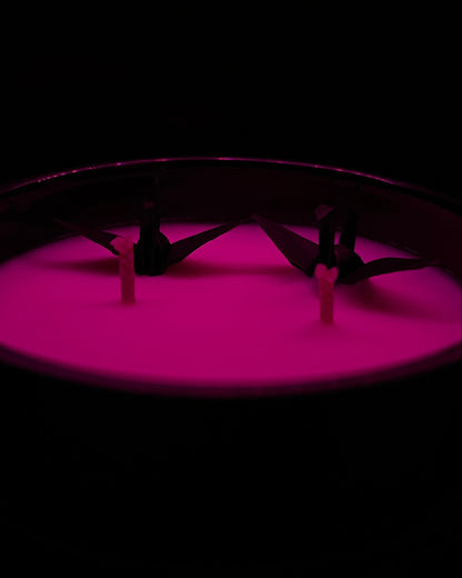 Origami Crane: Dark Series Candle