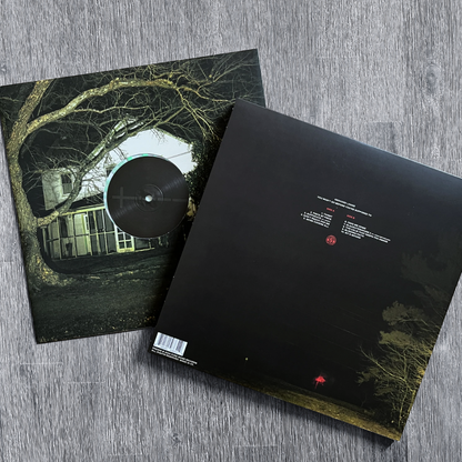 Knocked Loose: You Won't Go Before You're Suppose To - Limited Clear w/ Mint Splatter Vinyl Record